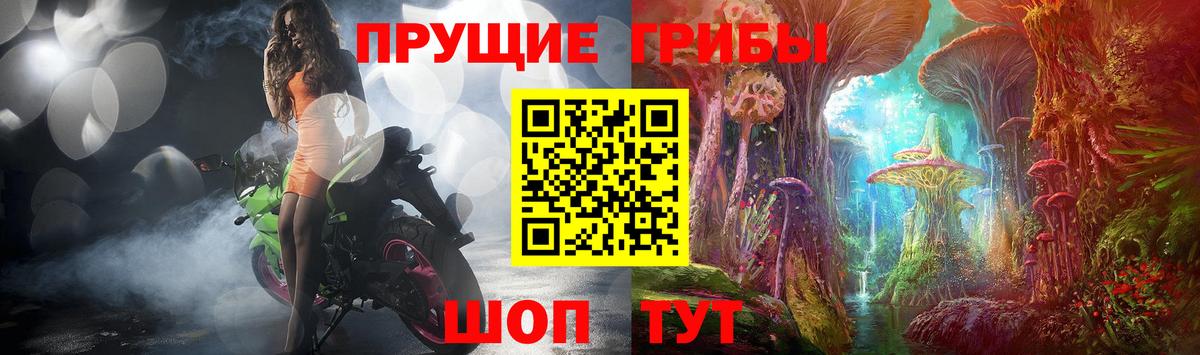 Псилоцибиновые грибы прущие грибы Волоколамск
